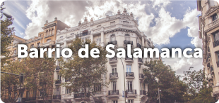 llollo barrio de salamanca